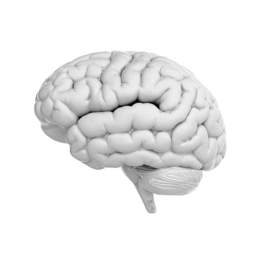 Image of the human brain. Addiction causes brain changes that can lead to lying