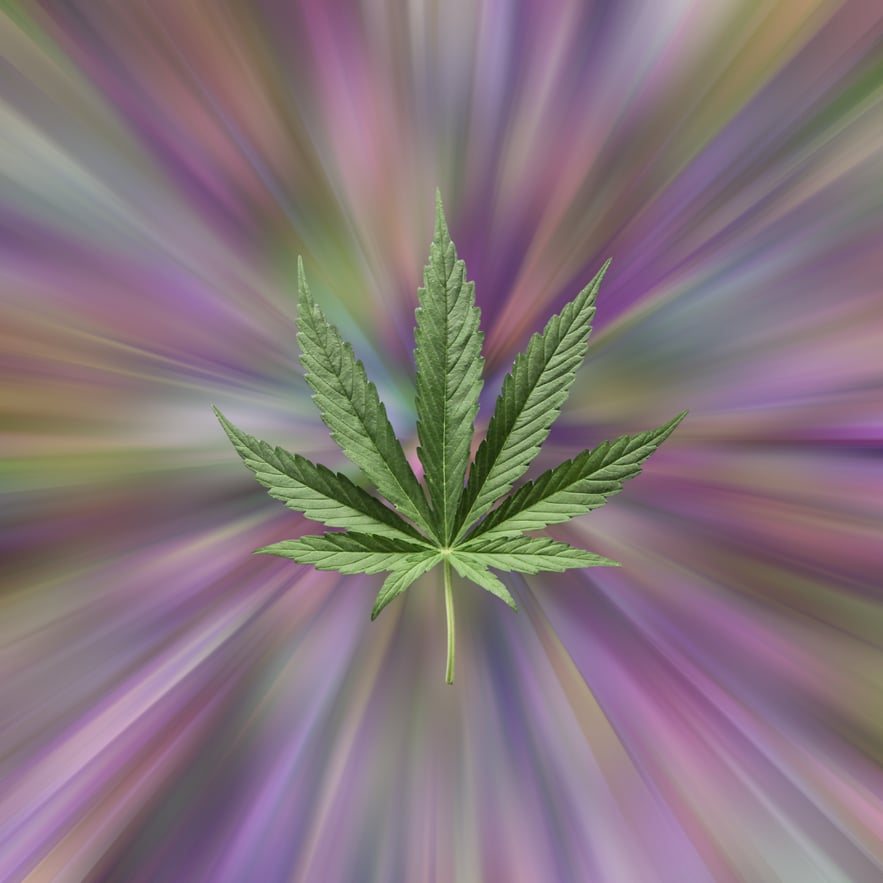 Cannabis leaf against abstract radial background. Is weed hallucinogenic?