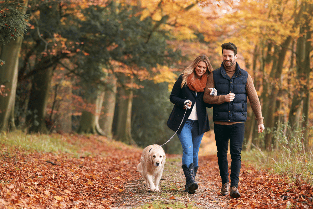 Couple on an autumn forest walk with their dog. Avenues recommends exercising with your alcoholic spouse.