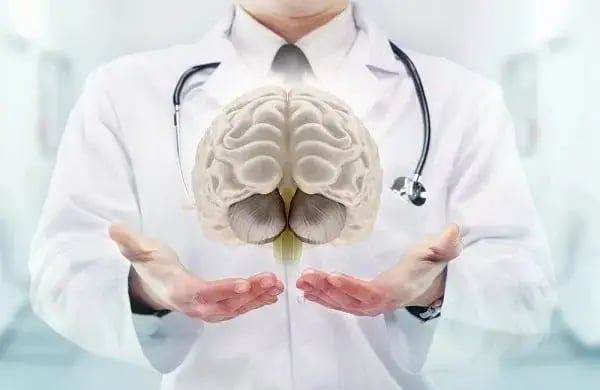 Physician holding a brain. Doctors take the disease model into account when determining treatment plans.