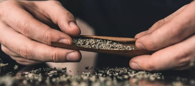 Does Marijuana Kill Brain Cells?