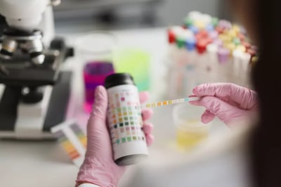 How Long Does Kratom Stay In Your System?