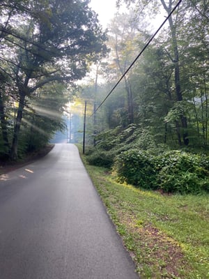 In Our Own Words: Camping and Growing with Avenues Recovery