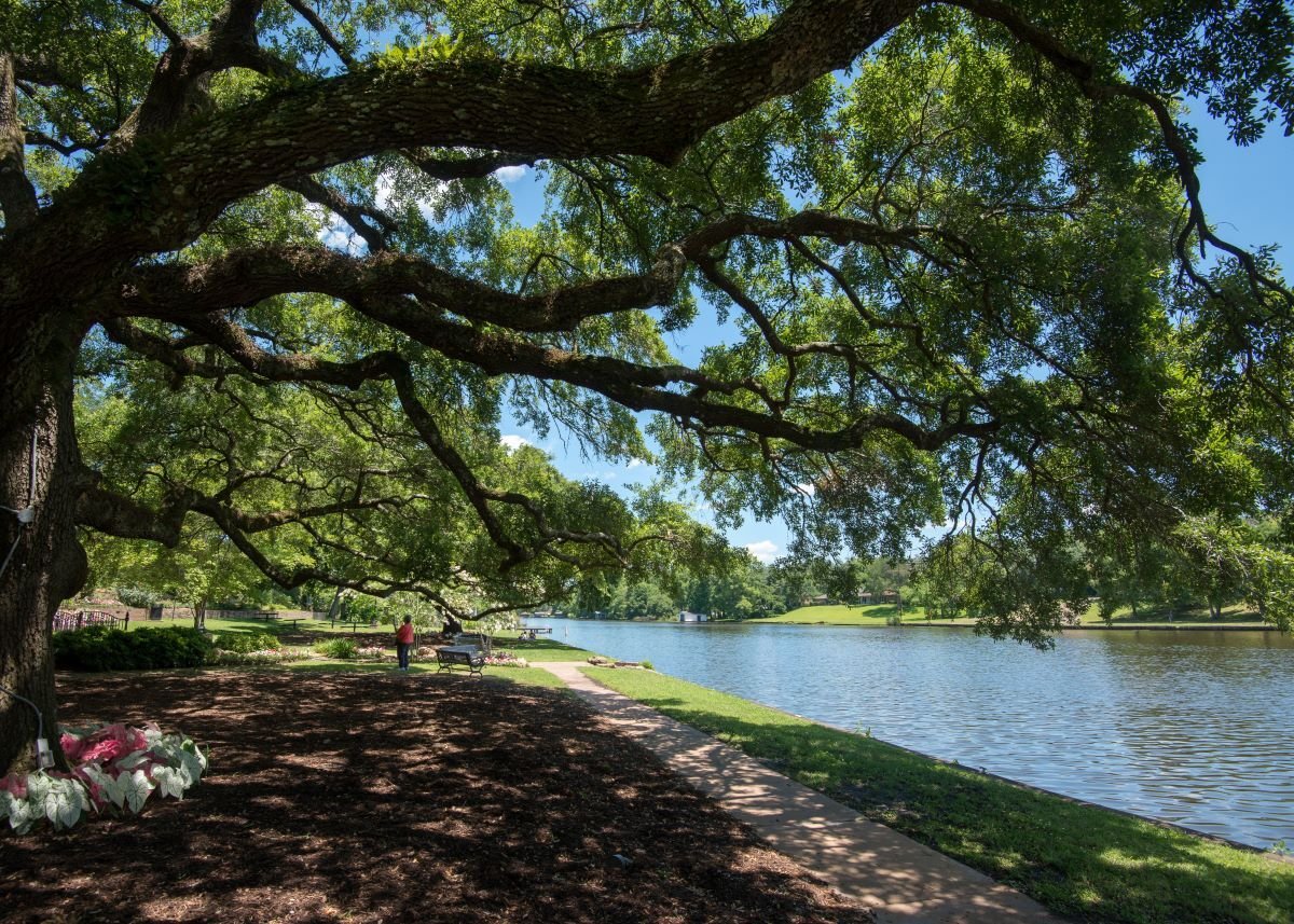 LA Park
