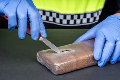 Narcotics Investigation in Indiana Leads to Child Neglect Case