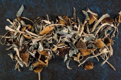 Illustration of psilocybin mushrooms, one of the most addictive substances, producing vivid sensory and perceptual effects