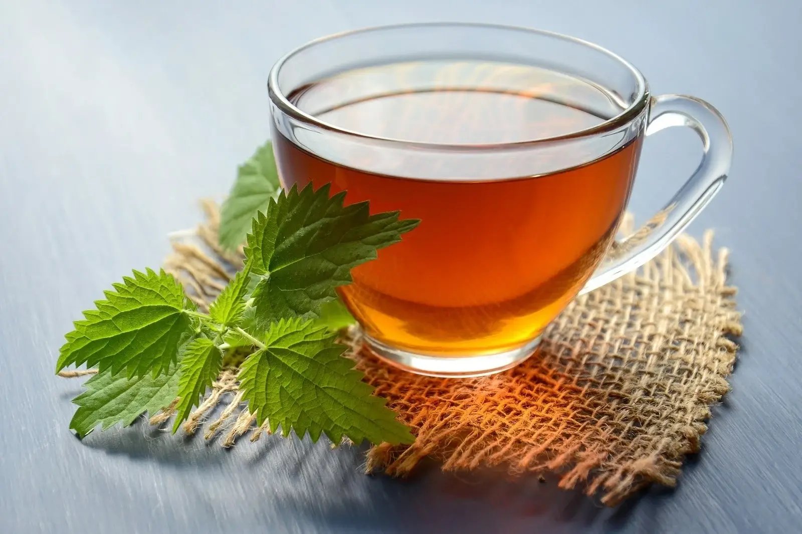 Glass of tea with leaves. Herbs and essential oils for addiction can be consumed in tea.