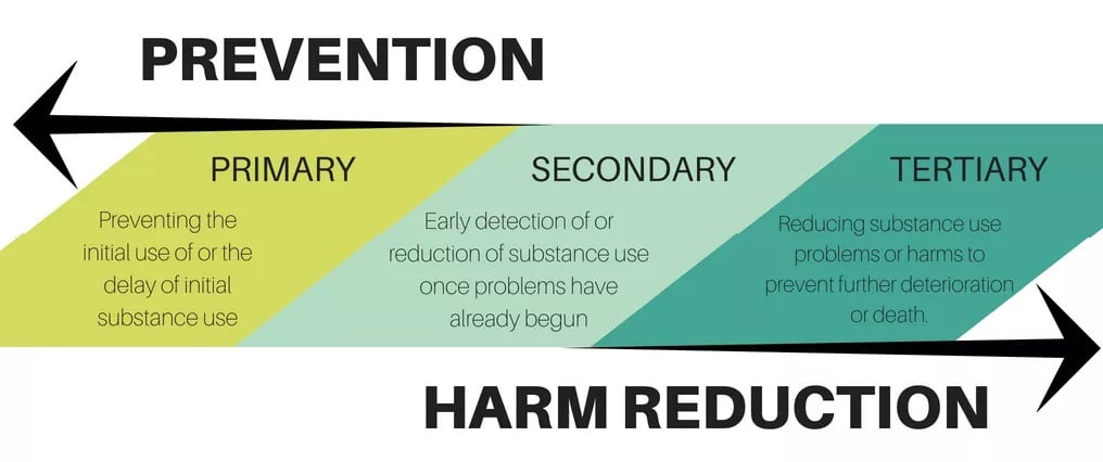 The-Intersection-of-Prevention-Harm-Reduction-Efforts