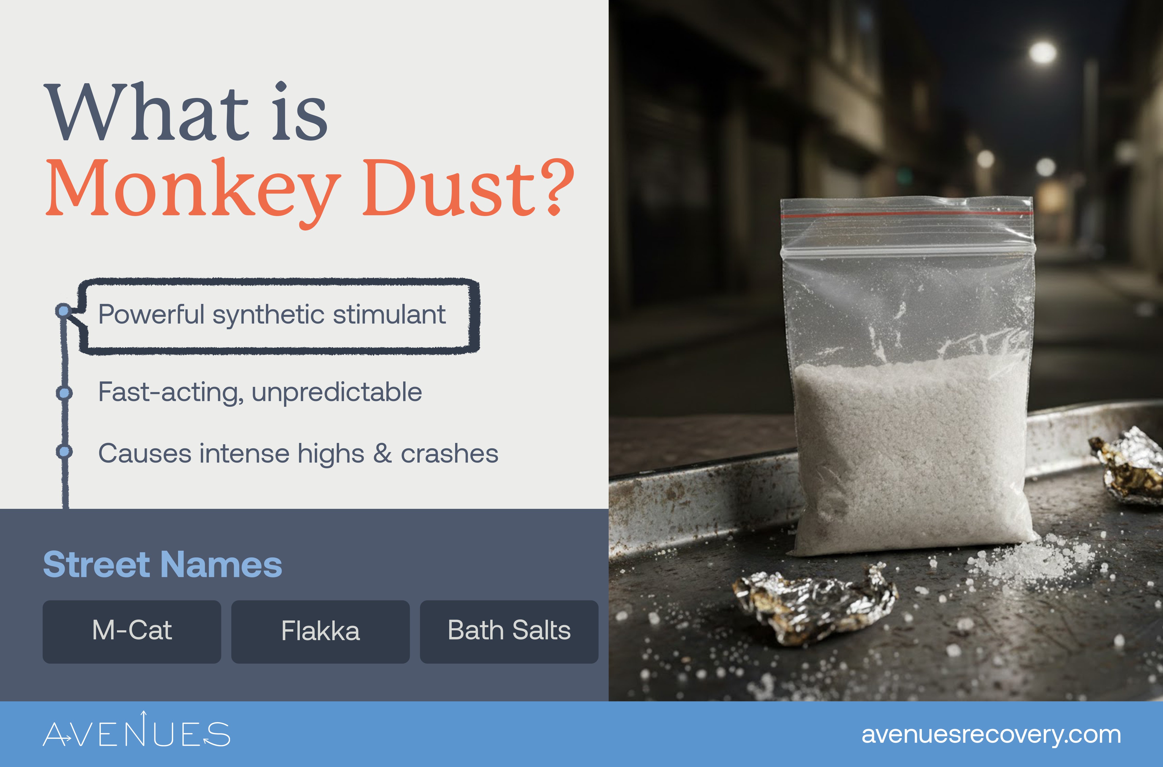 Infographic on what monkey dust is as Avenues Recovery explores Monkey Dust