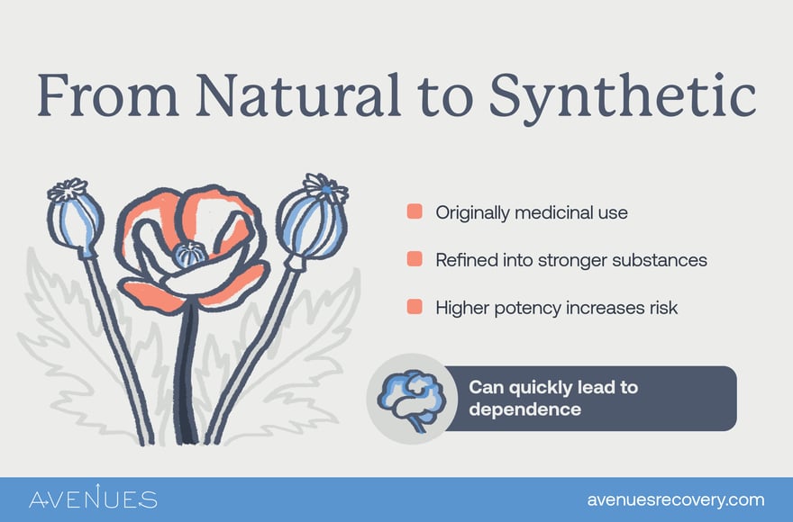 Infographic on natural to synthetic process as Avenues Recovery explores what are the sources of drugs