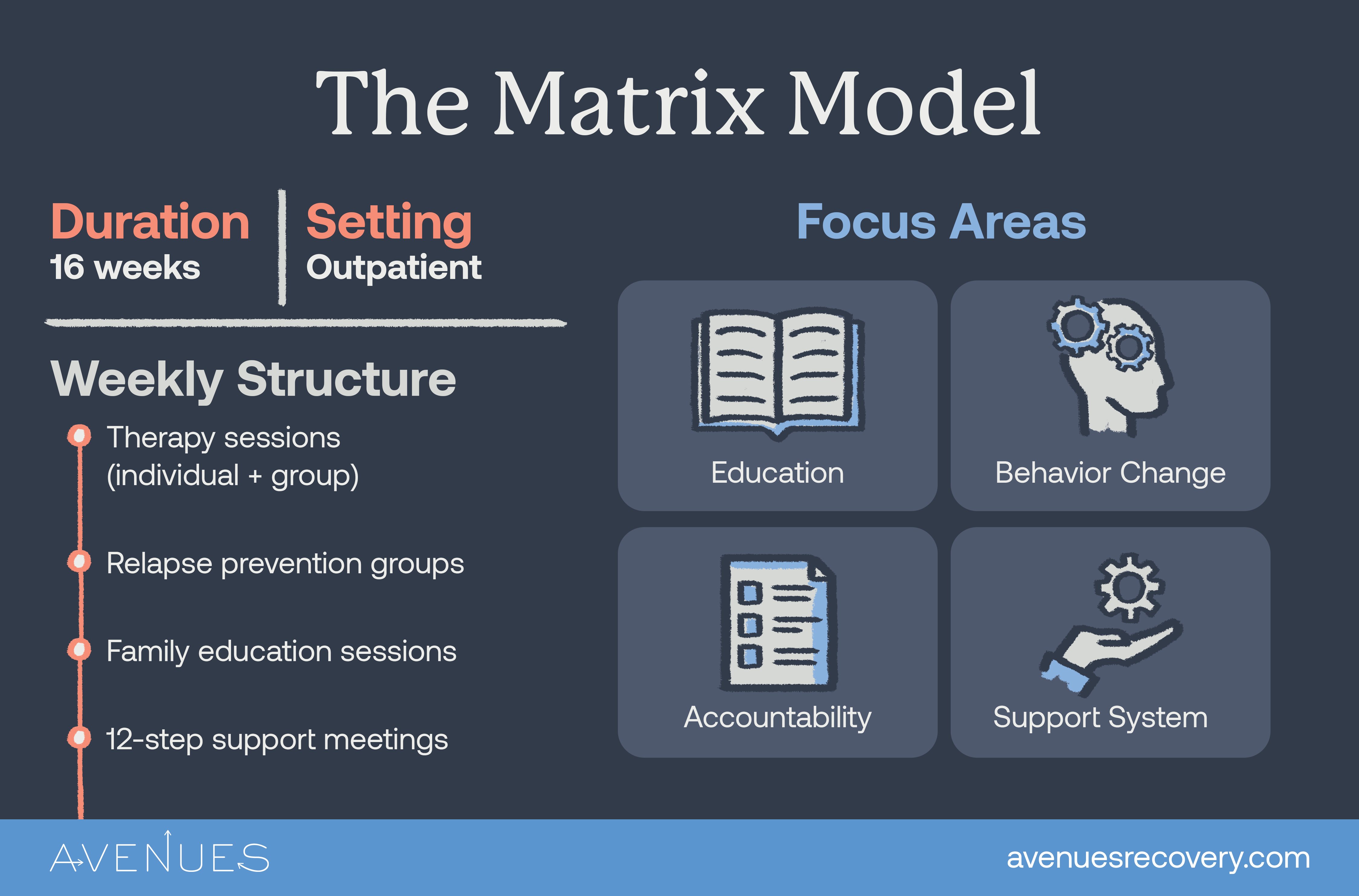 Infographic of the matrix model as Avenues Recovery explores the Matrix Model