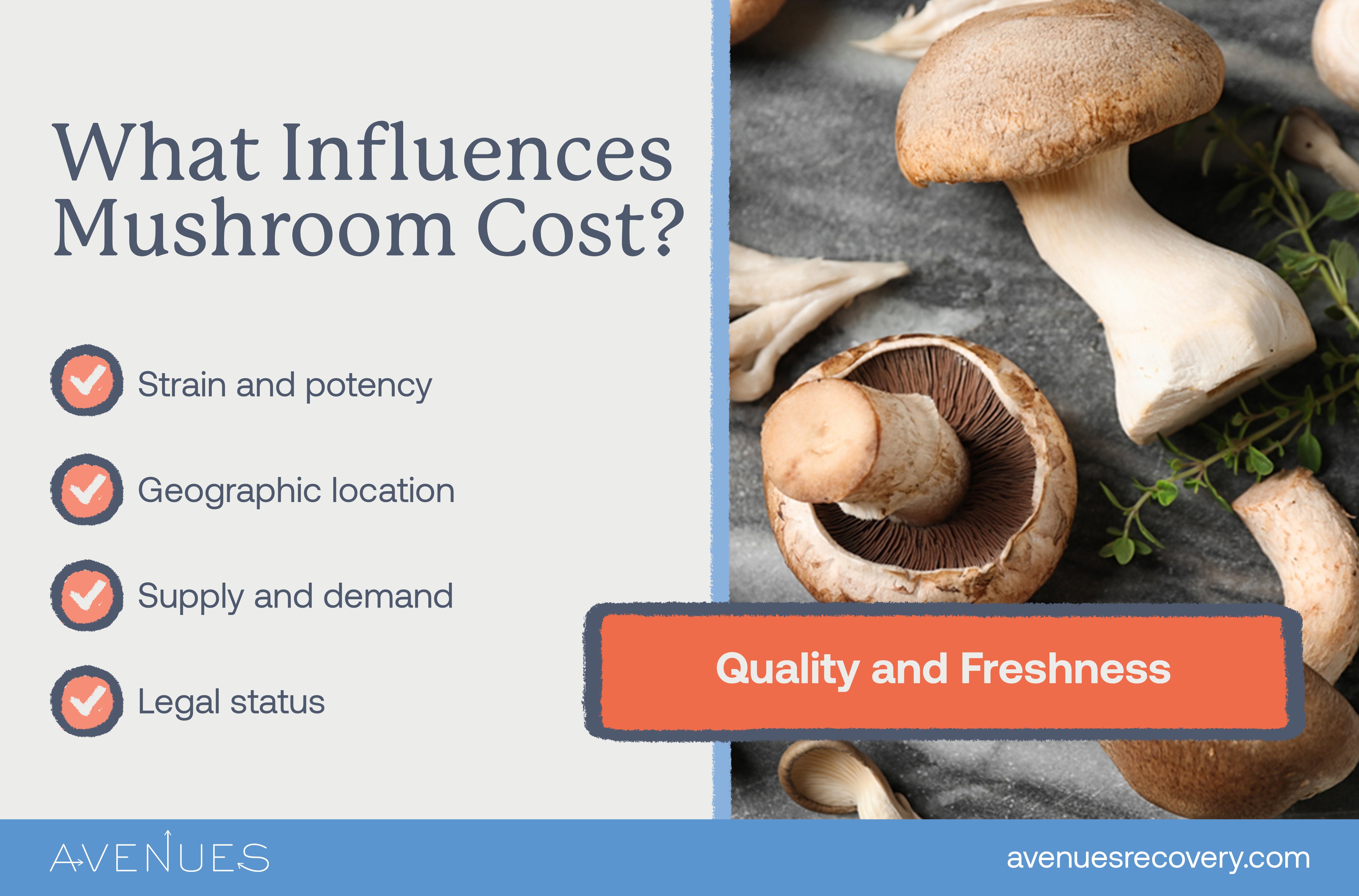 Infographic of what influences mushroom costs as Avenues Recovery explores how much is a gram of mushrooms