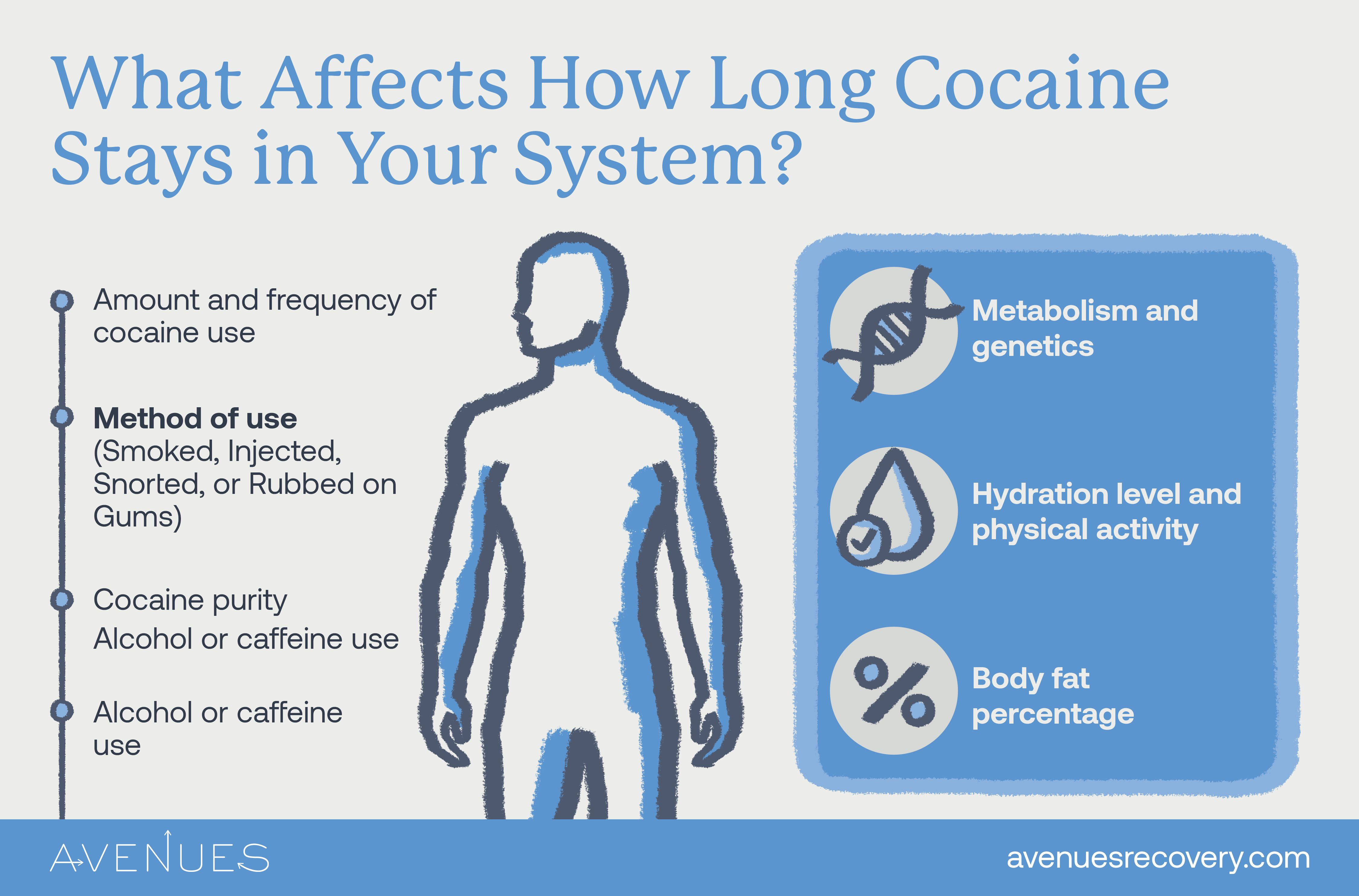 Infographic of what affects how long cocaine stays in your system as Avenues Recovery explores how long does cocaine stay in your system