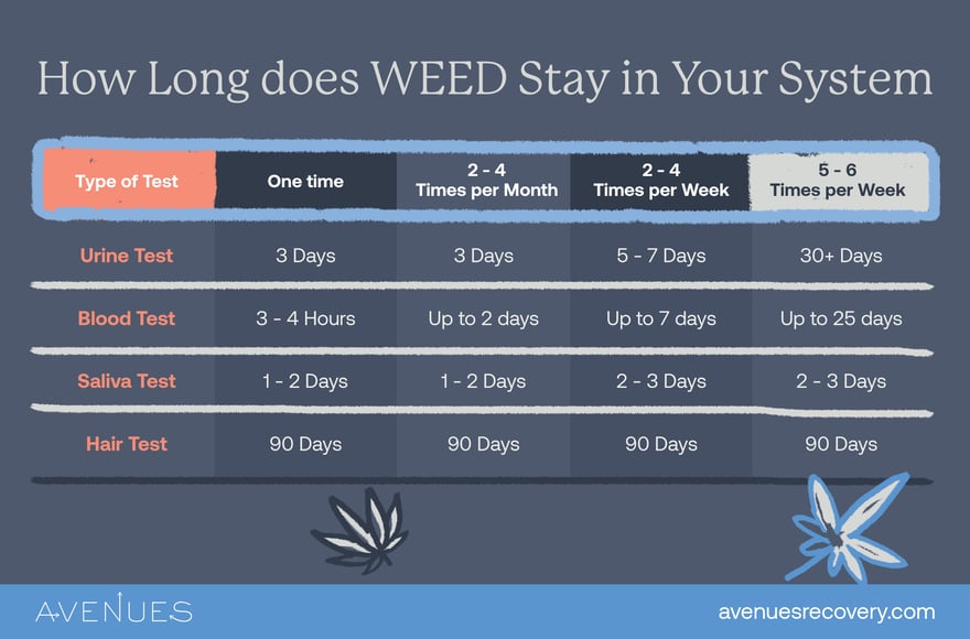 Infographic how long does weed stay in your system