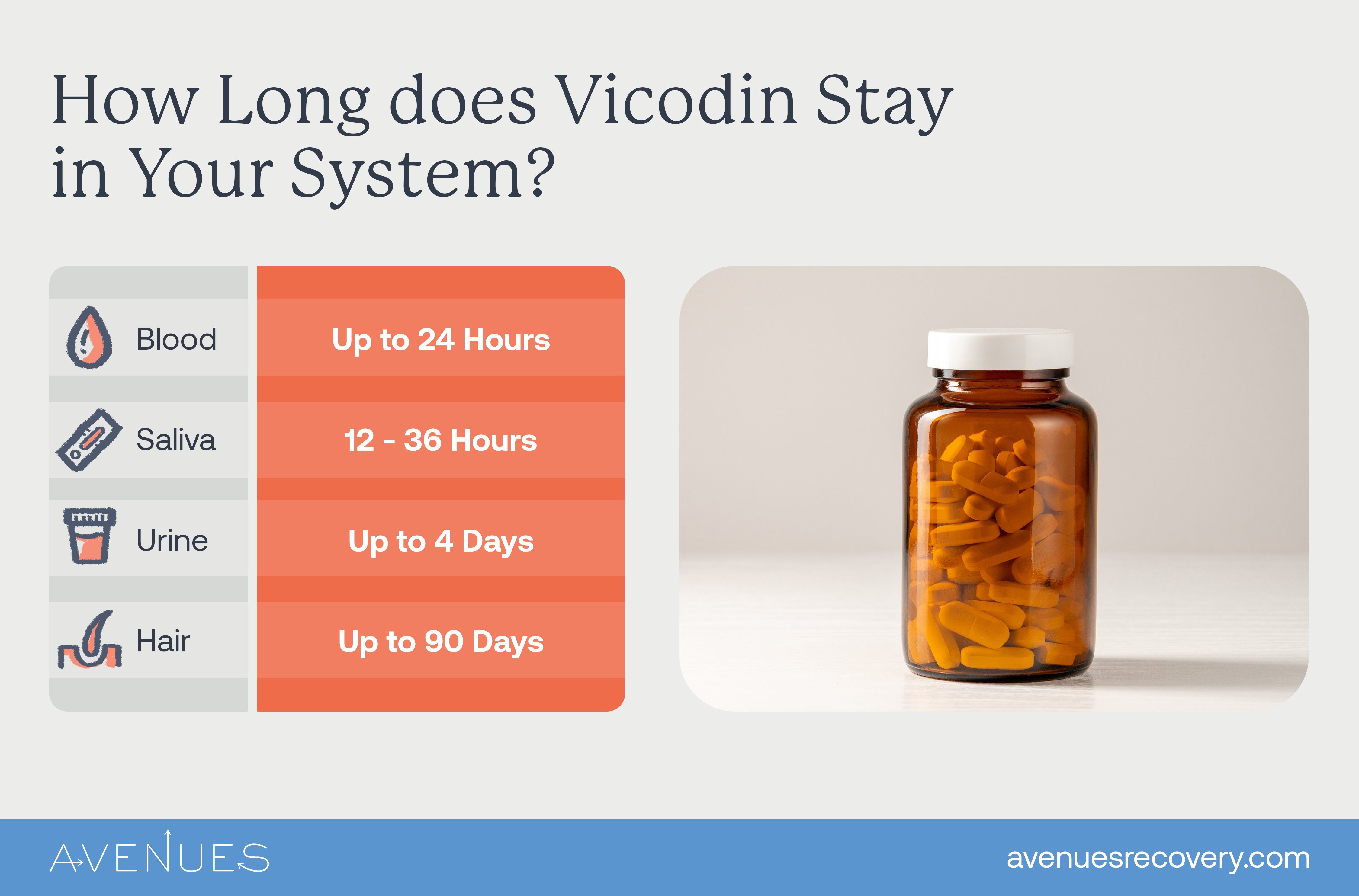 Infographic: How long does Vidocin stay in your system?