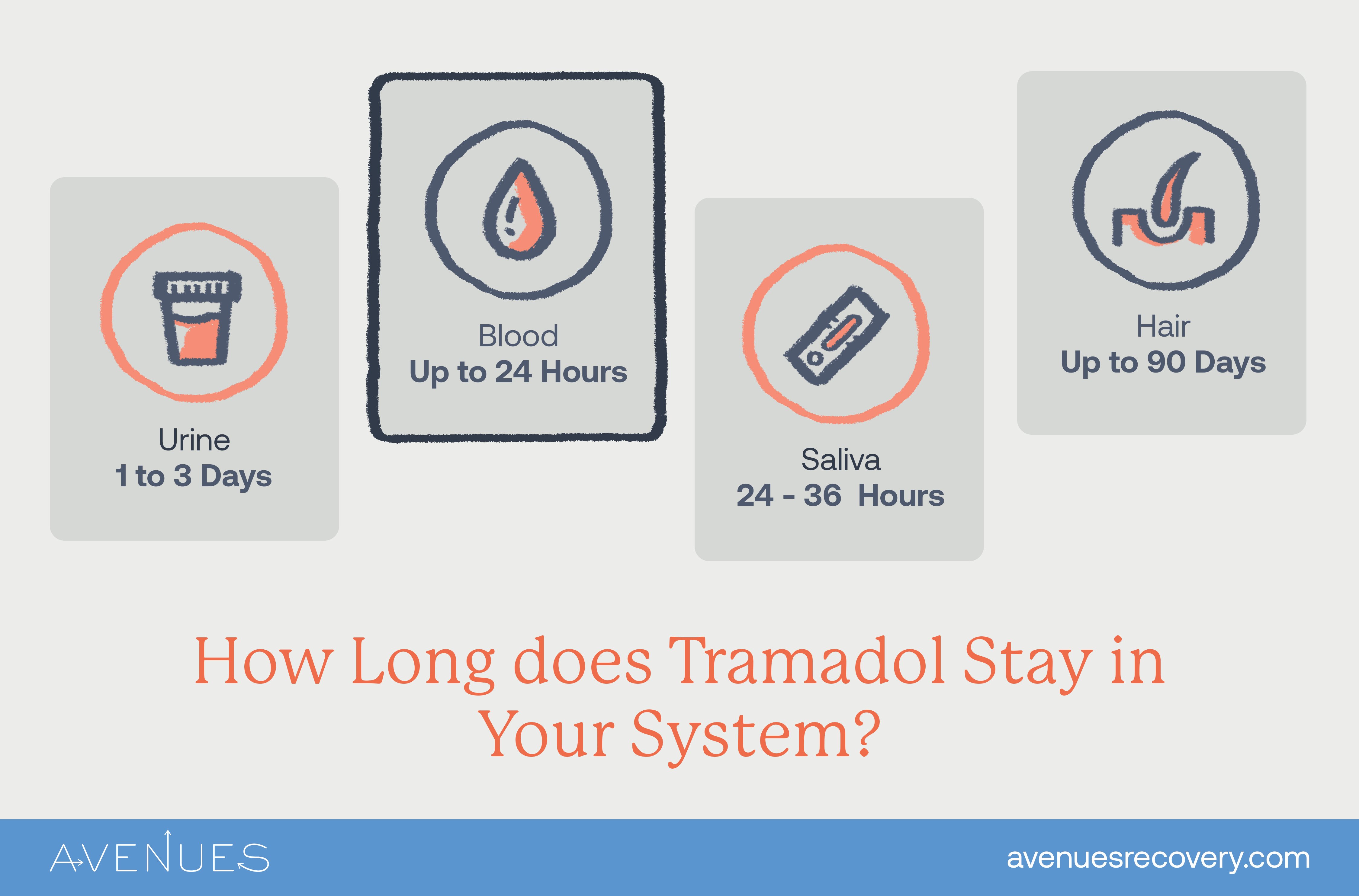 Infographic how long does Tramadol stay in your system