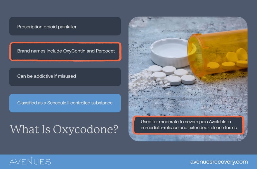 infographic of what is oxycodone as Avenues explores how long oxycodone stays in your system