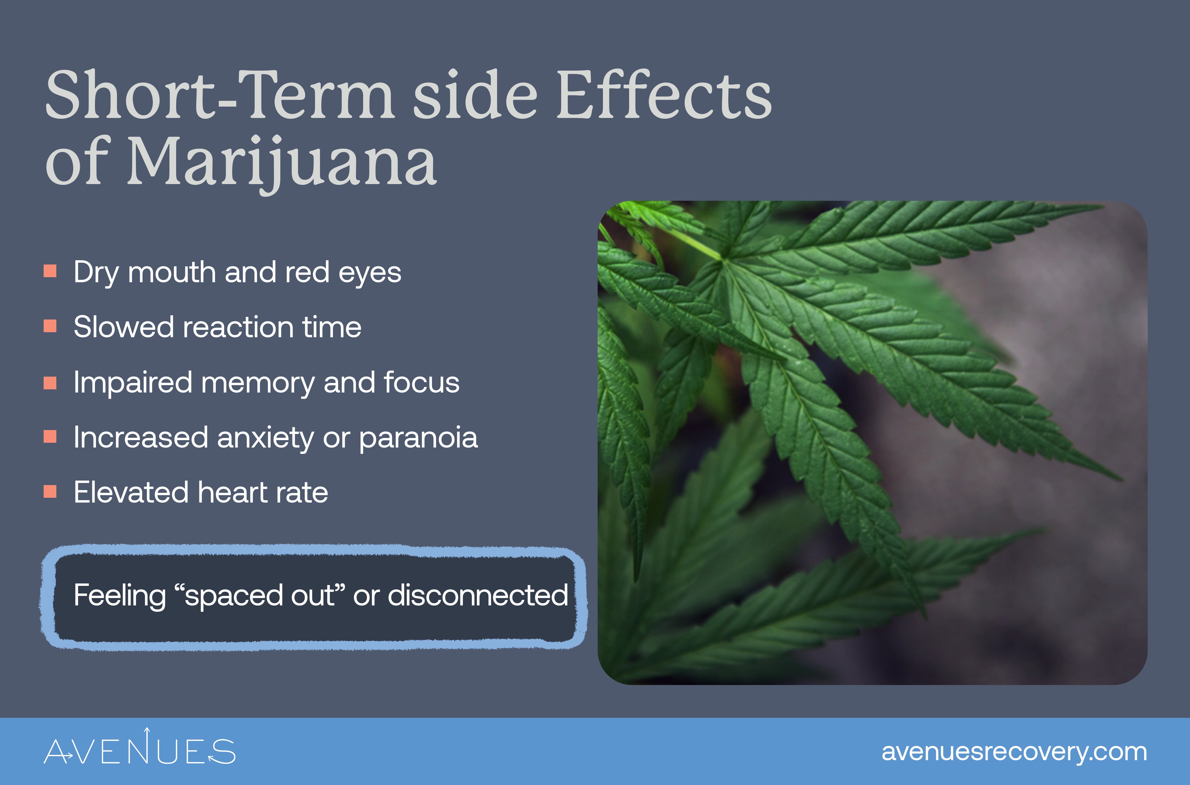 short term effects of weed as Avenues explores mixing weed with alcohol