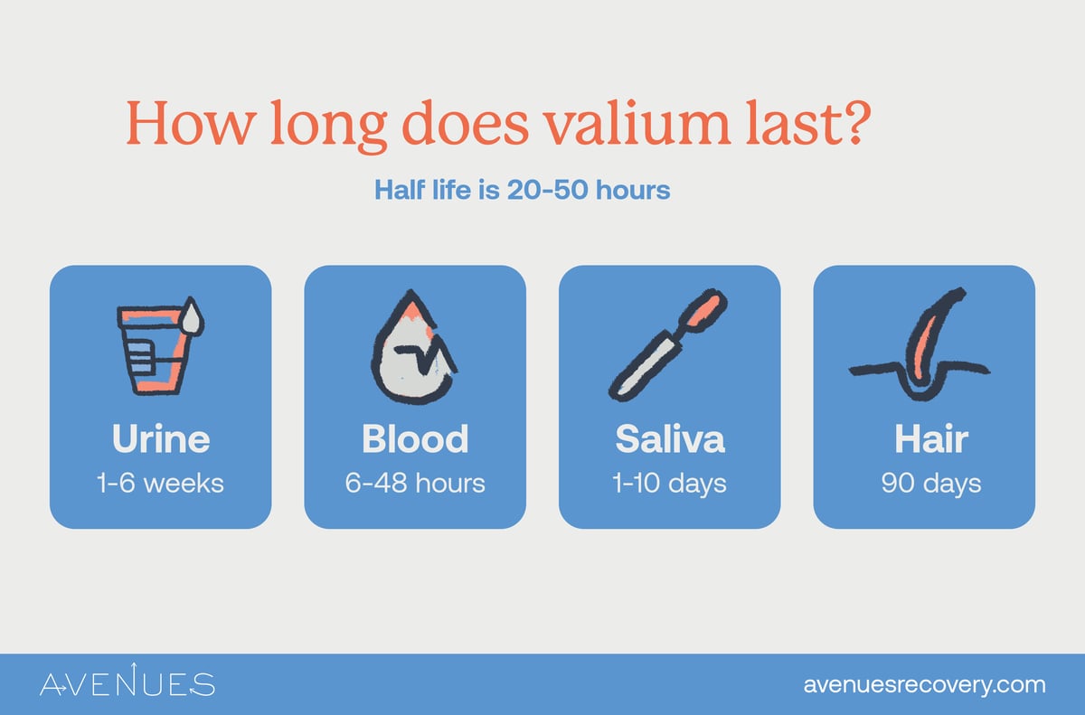 Infographic of how long valium lasts as Avenues explores how long valium stays in your system