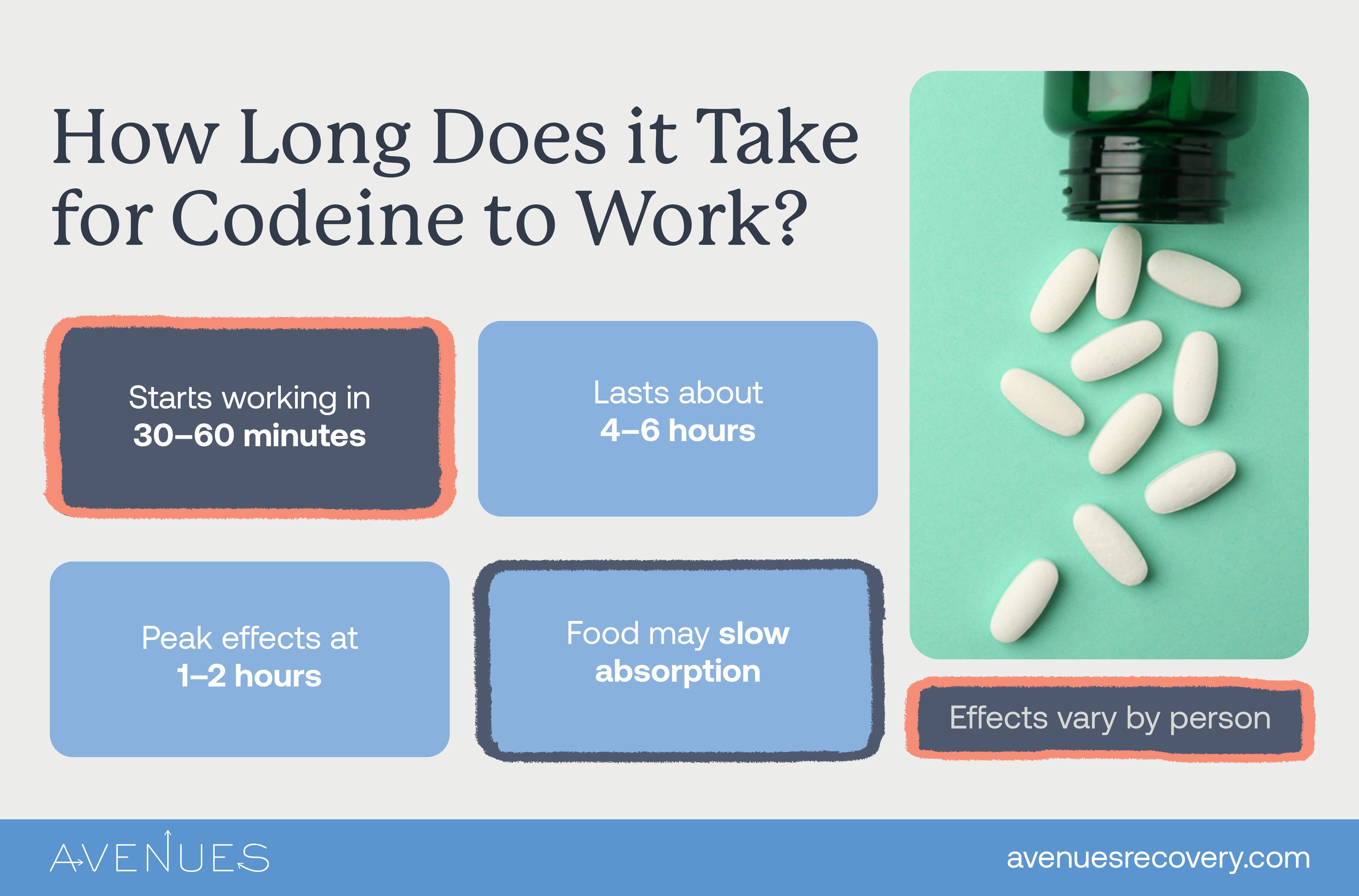 Infographic of how long does it take for Codeine to work as Avenues Recovery explores Codeine