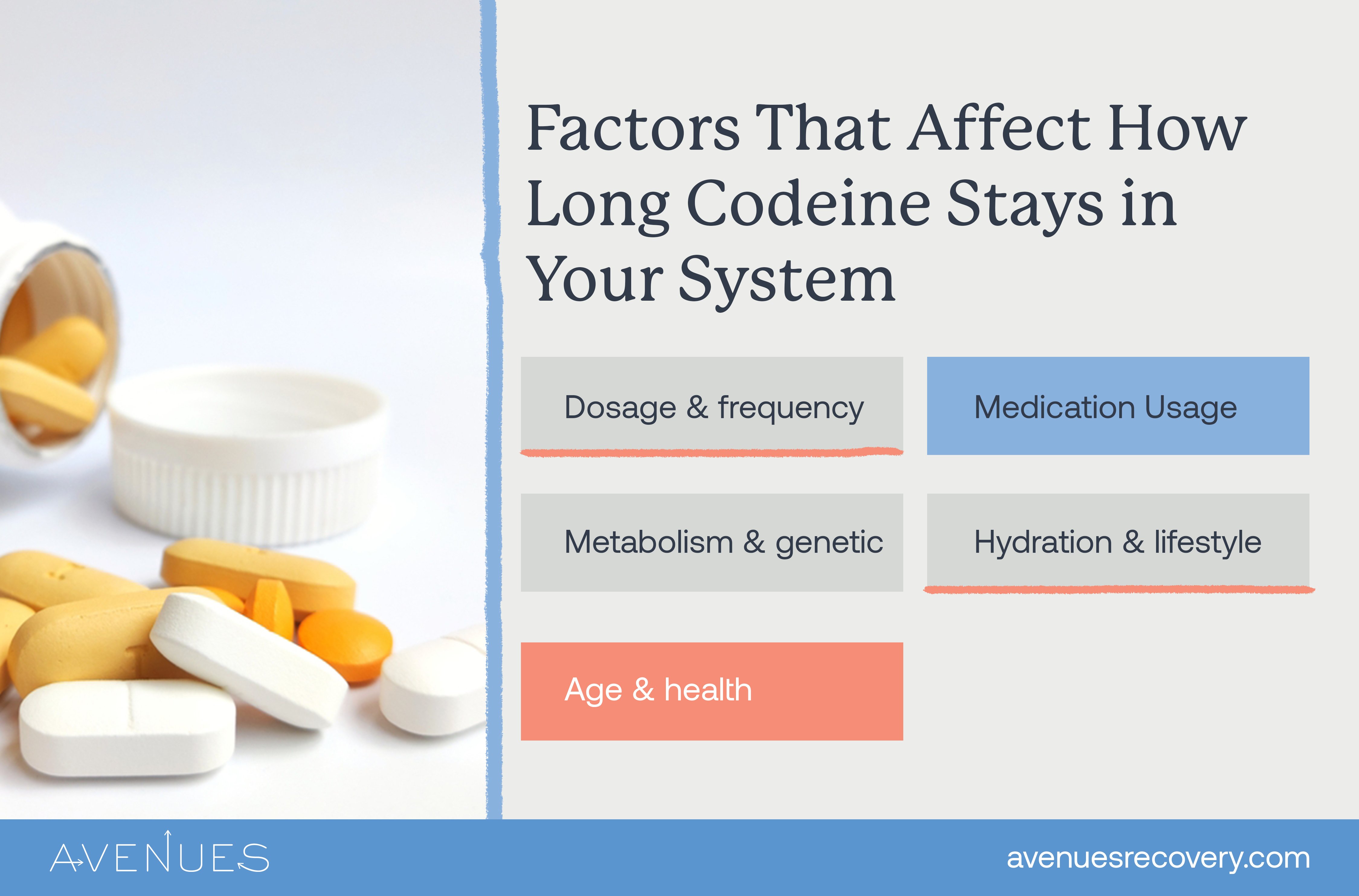 Infographic of factors that affect how long codeine stays in your system as Avenues Recovery explores Codeine