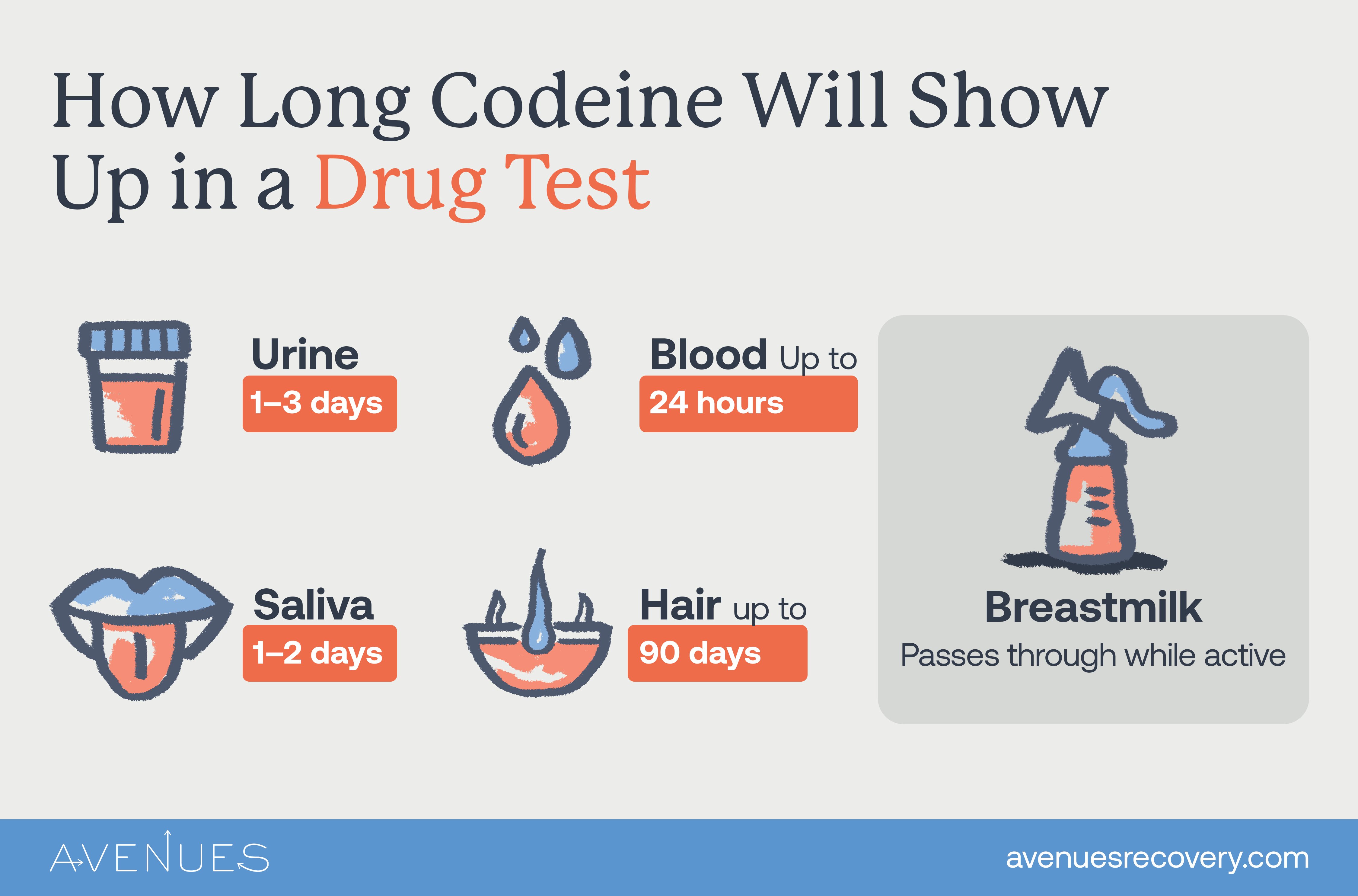 How Long Does Codeine Stay in Your System? | Avenues Recovery