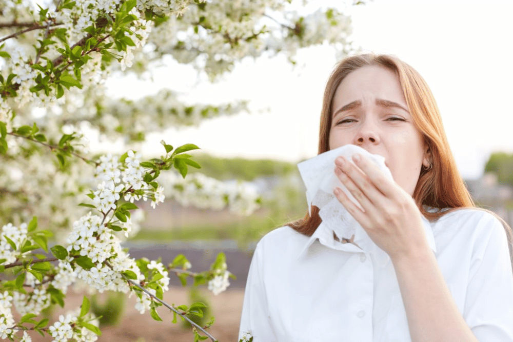How long does Benadryl stay in your system? People use Benadryl for allergies, Avenues Recovery notes.