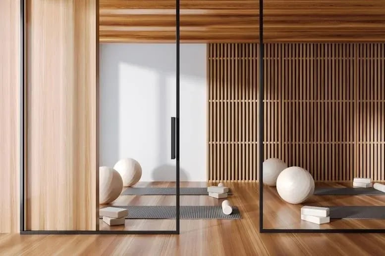 A studio with yoga mats, balls, and yoga blocks for use in holistic addiction treatment