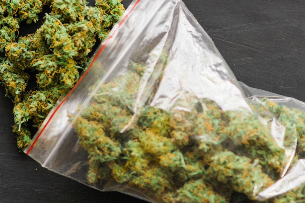 Innocent-looking weed may be fentanyl-laced weed. Avenues Recovery describes how to spot it