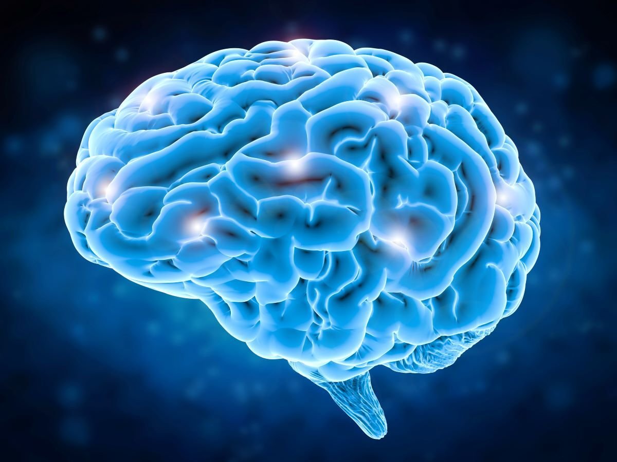 Campral interacts with brain chemistry but is processed through the kidneys.
