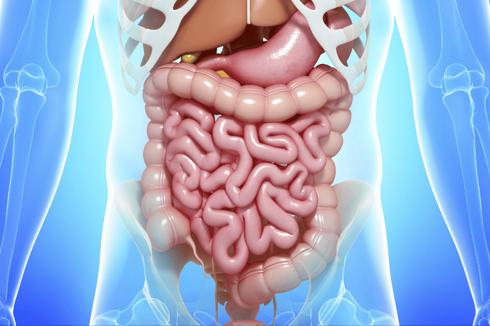 ketamine abuse and k-holes take their toll on the gastrointestinal system - Avenues Recovery