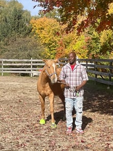 concord-equestrian-therapy-767x1024