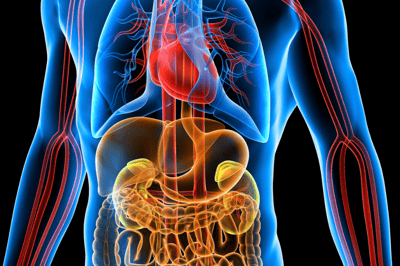 How Long Does Vyvanse Stay in Your System?