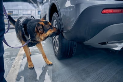 Drug-Sniffing Canine Helps Ohio Troopers Find Cocaine