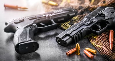 Virginia Authorities Execute Warrant in Drug and Gun Case