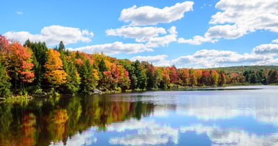 Healing Through Nature