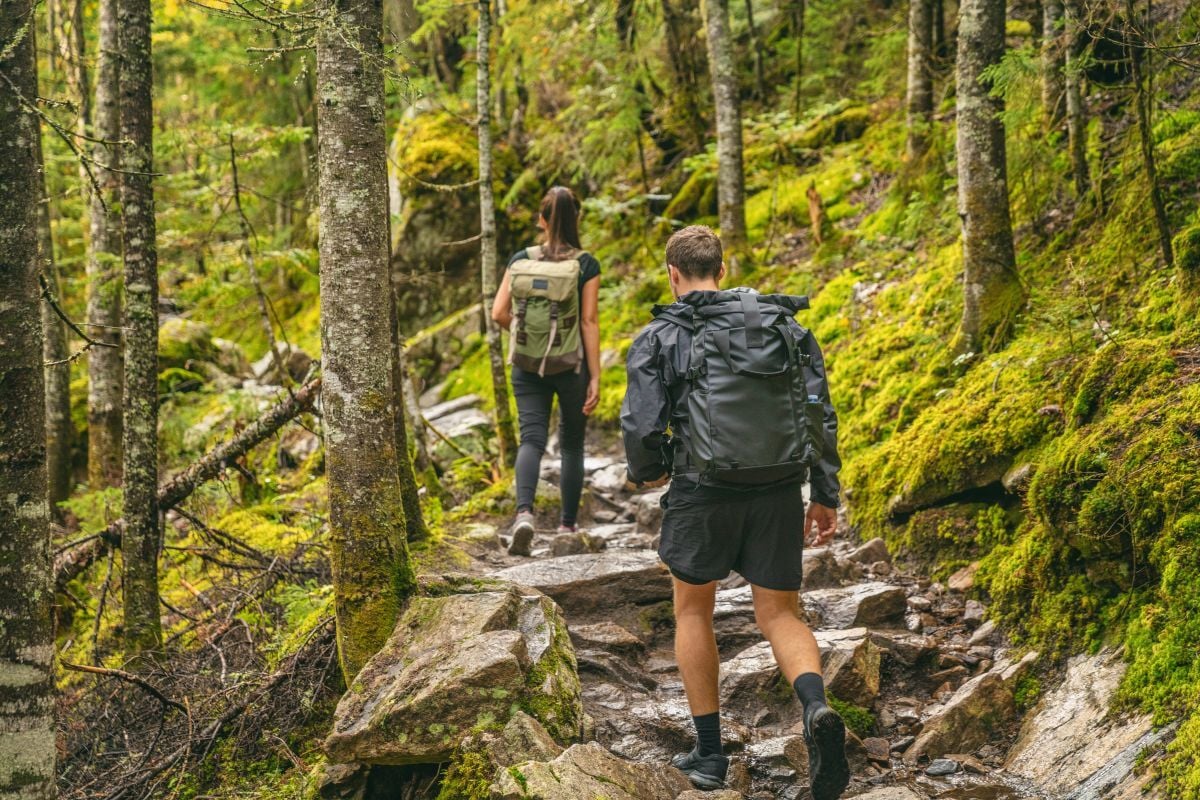 Image of people on nature hike as Avenues Recovery explores sobriety fatigue