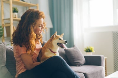 Colorado Group Aims to End the Trauma of Giving Up Pets for Rehab