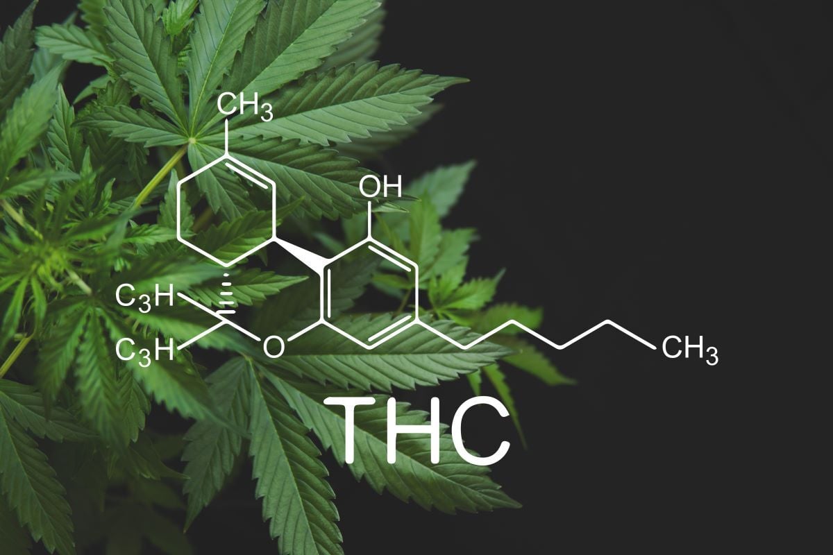 thc