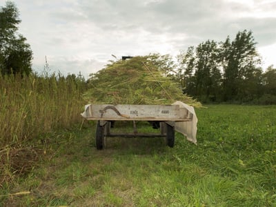 Three Arrested in Monroe County, Indiana After Stolen Tractor Leads to Drug Discovery