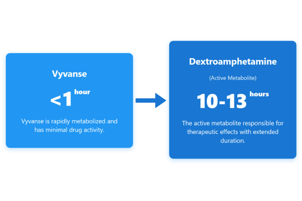 Chart displaying Vyvanse half-life of under 1 hour, while dextroamphetamine metabolite lasts 10–13 hours.