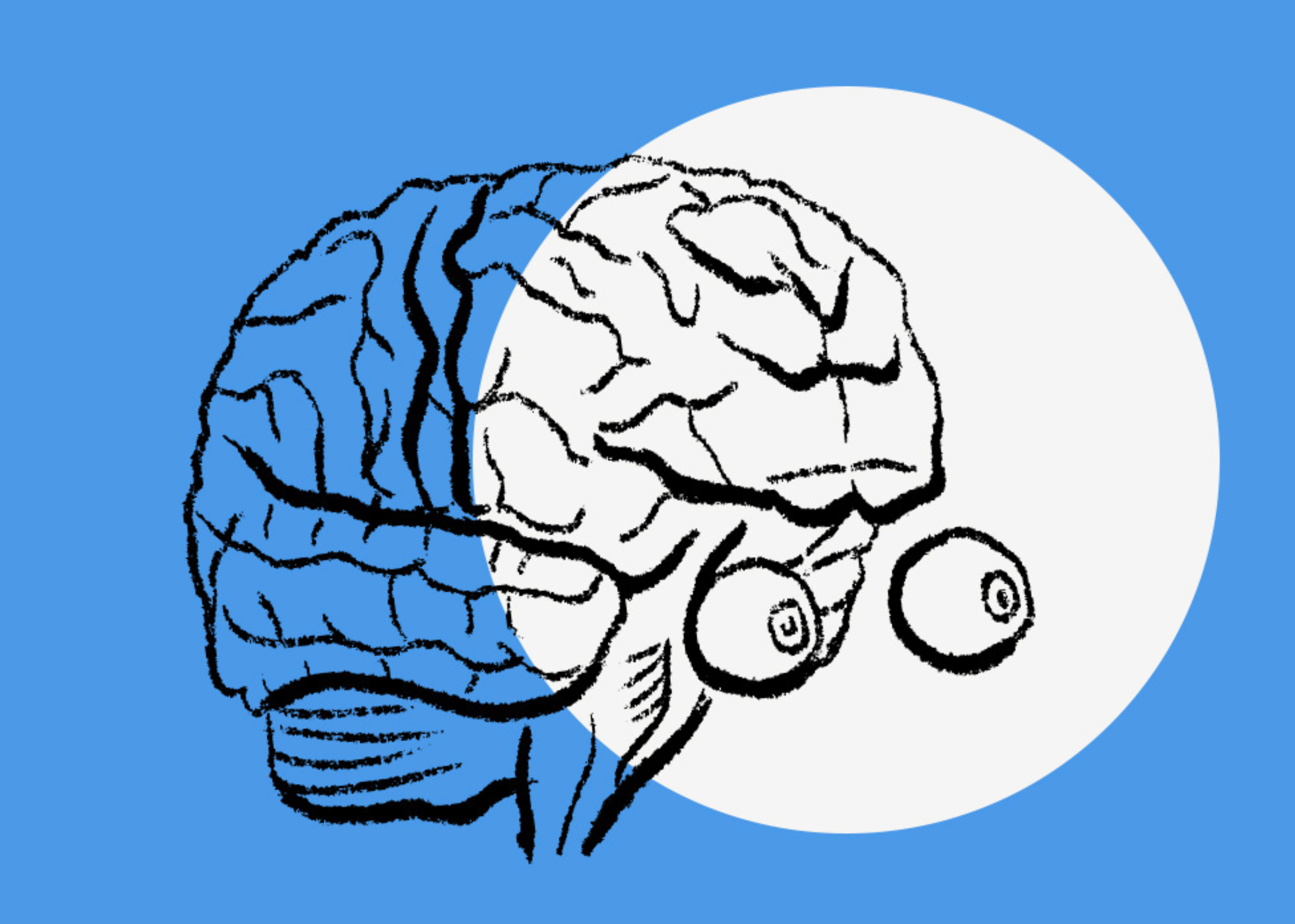The Science of the Brain and Choice: Why “Just Stop” Isn’t So Simple