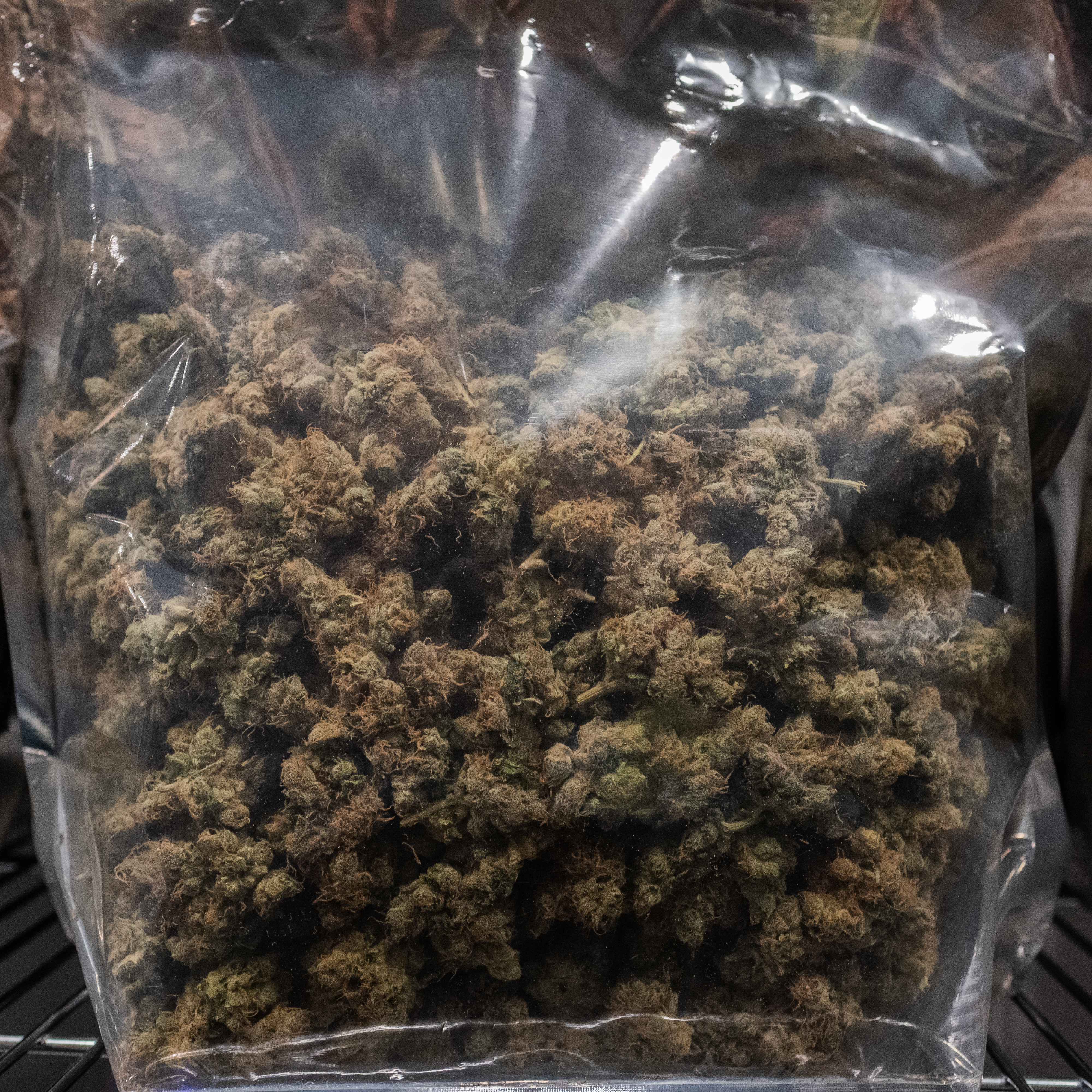 Major Louisiana Drug Bust in Lafayette Seizes Over 100 lbs. of Marijuana