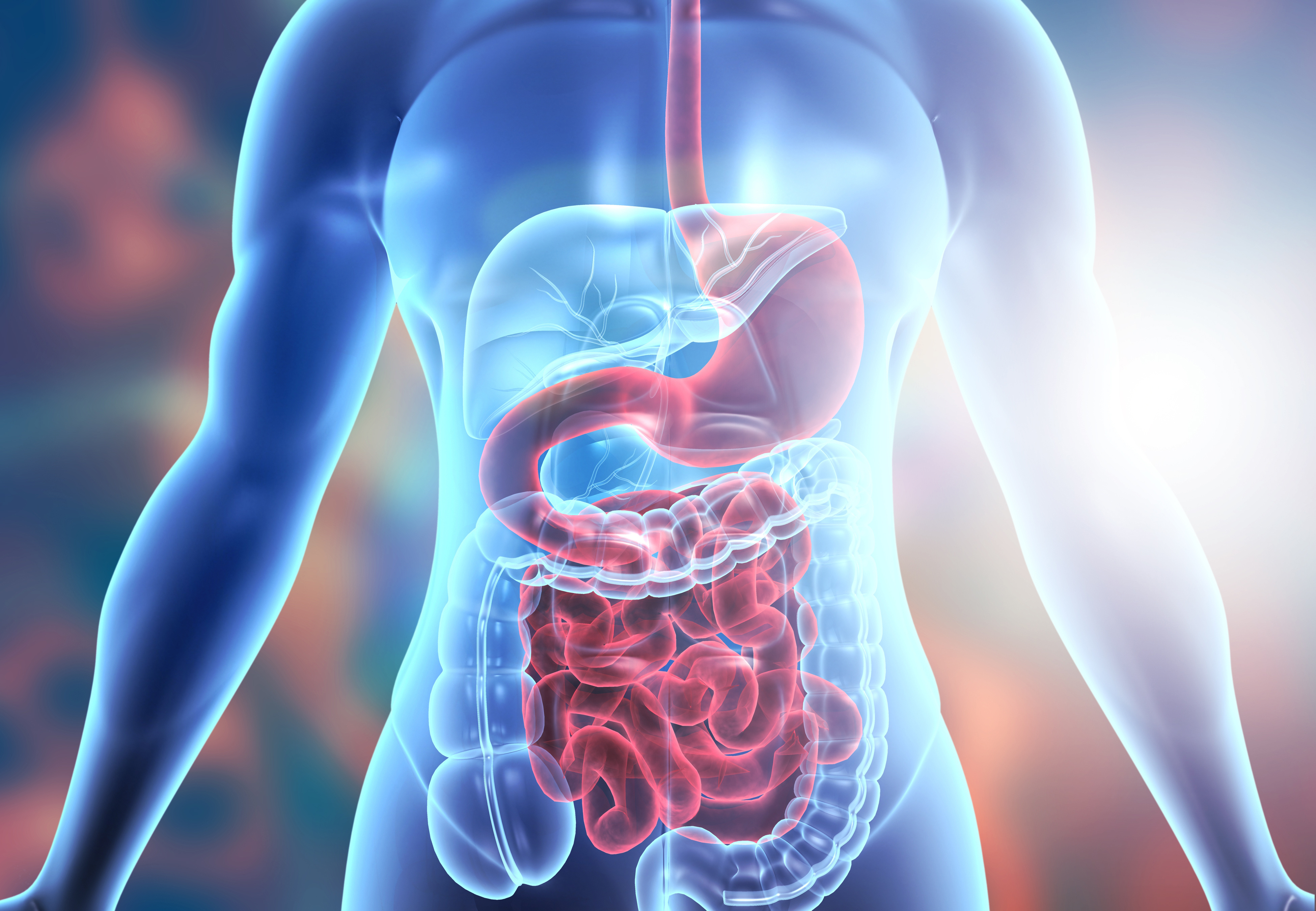 How Long Do Drugs Stay in Your System?