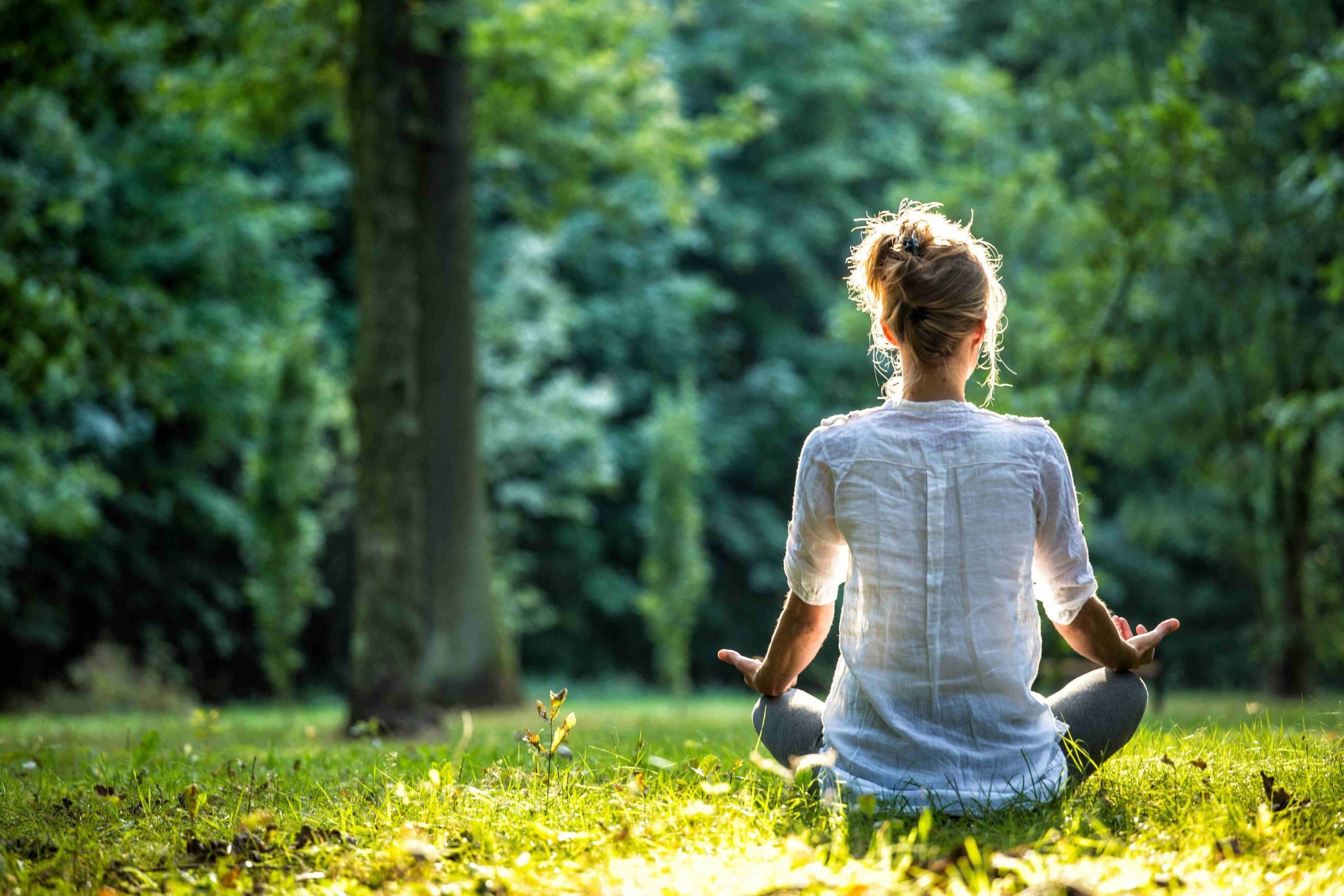 Mindfulness in Recovery