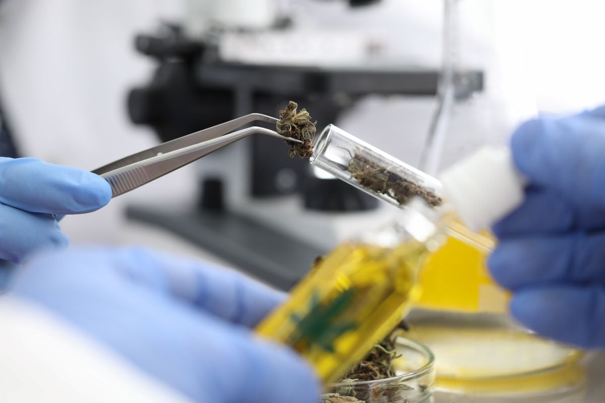 Cannabinoid Hyperemesis Syndrome: What Is It, Really?