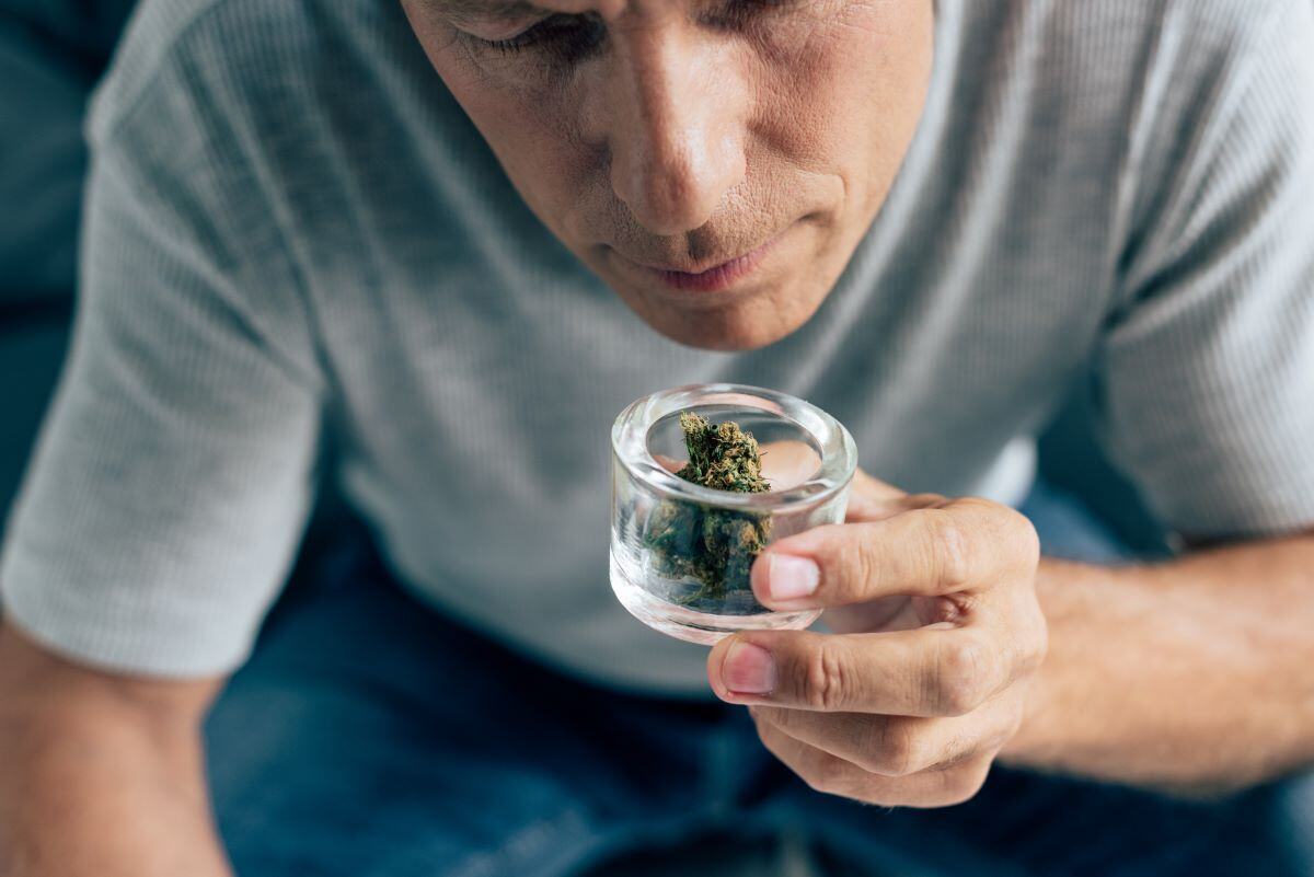 What Do Drugs Smell Like?