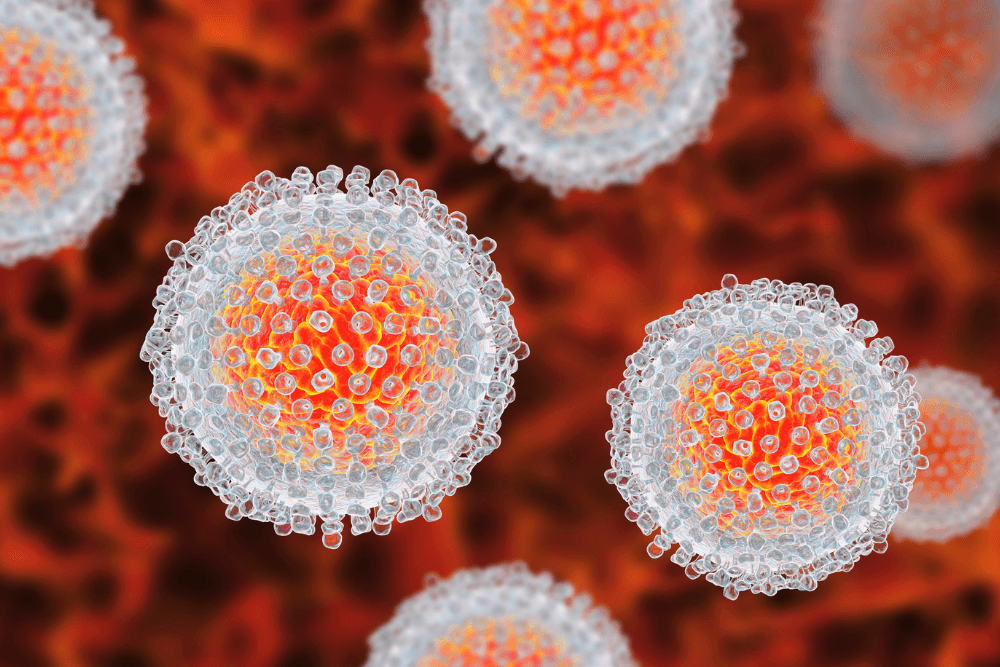 Hepatitis C Treatment