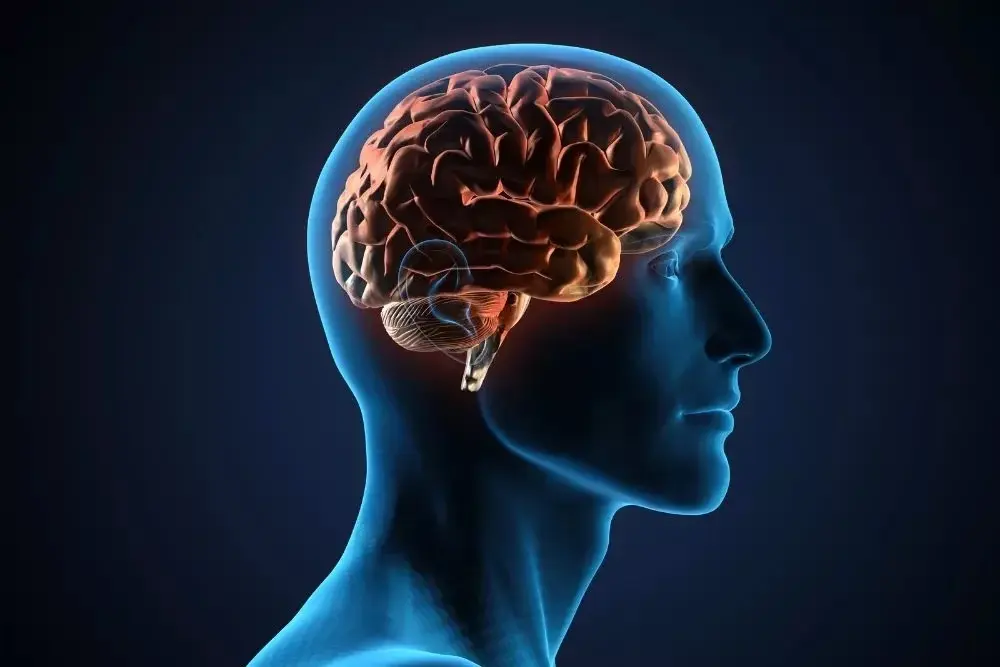 What is Wet Brain (Wernicke-Korsakoff Syndrome)?