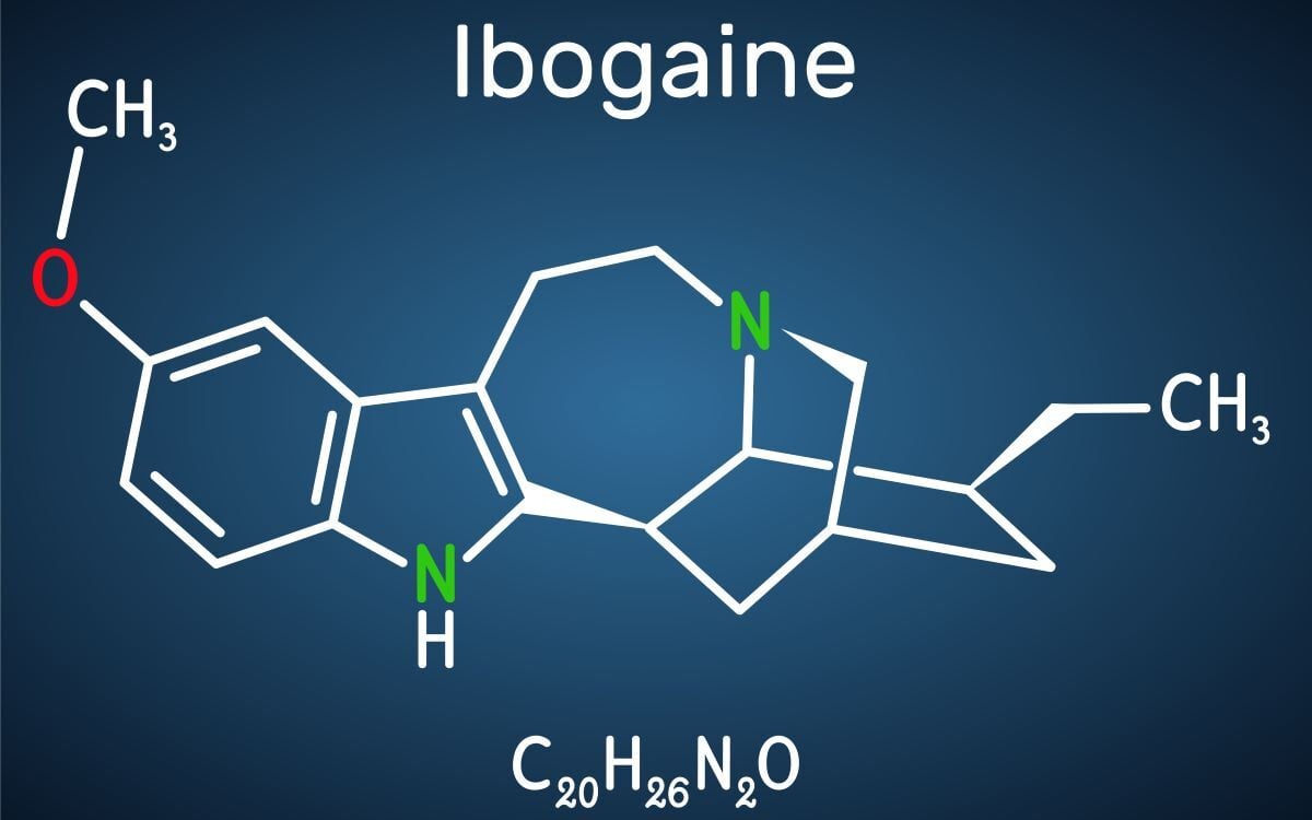 Colorado Considers Psychedelic Ibogaine for Addiction Treatment